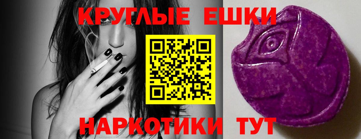 Урус-Мартан  Ecstasy Philipp Plein  Вход с VPN 