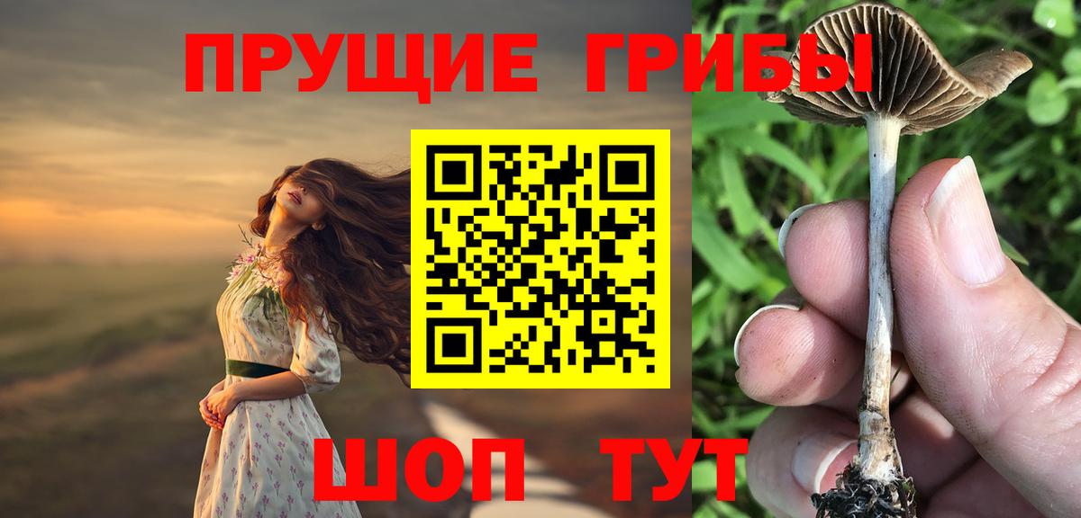 Псилоцибиновые грибы GOLDEN TEACHER Урус-Мартан